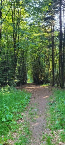 Achatpfad bei Freisen