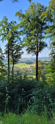 Achatpfad bei Freisen