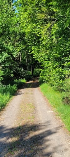 Achatpfad bei Freisen