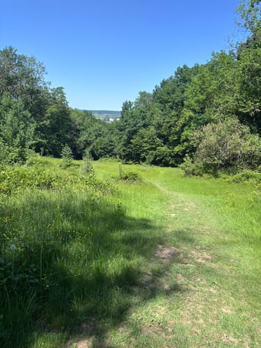 Herzog-Jäger-Pfad (Premiumwanderweg)