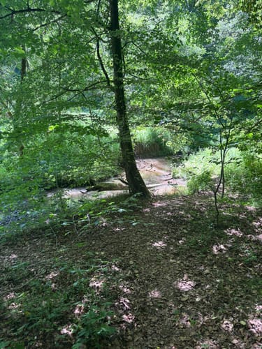 Herzog-Jäger-Pfad (Premiumwanderweg)