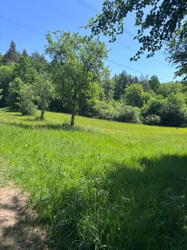 Herzog-Jäger-Pfad (Premiumwanderweg)