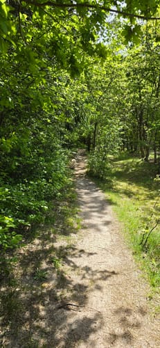 Durch den Wernerwald und das NSG Küstenheide