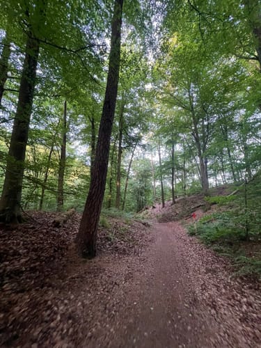Wahner Heide