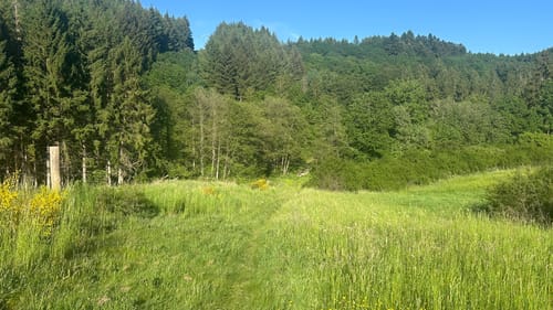 HeimatSpur Wallenborner-Weg
