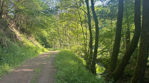 HeimatSpur Wallenborner-Weg