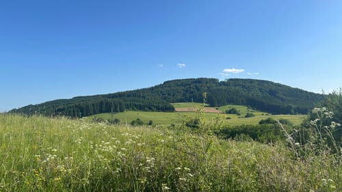 HeimatSpur Wallenborner-Weg