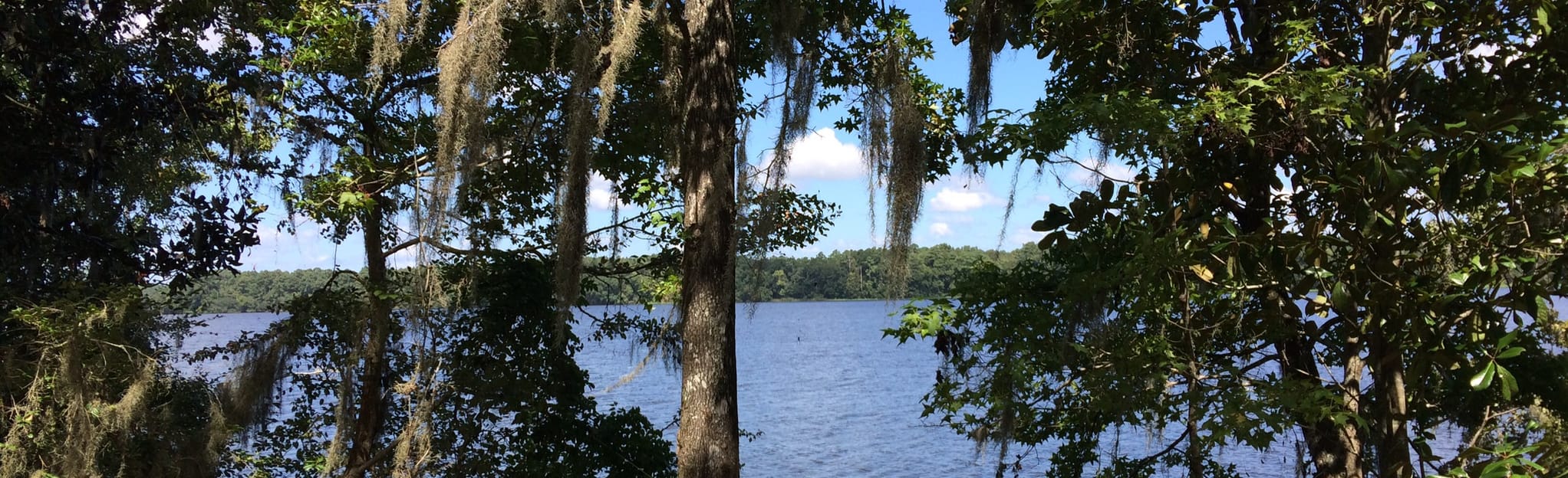 Fort Braden Full Loop 105 Reviews - EyJidWNrZXQiOiJhc3NldHMuYWxsdHJhaWxzLmNvbSIsImtleSI6InVwbG9hZHMvcGhvdG8vaW1hZ2UvMTI4Nzk0NDQvZTBlZDNkMjc0Mzc2NDc3ZTYyODQzZGU4MTNjYzgzZDMuanBnIiwiZWRpdHMiOnsidG9Gb3JtYXQiOiJqcGVnIiwicmVzaXplIjp7IndpZHRoIjoyMDQ0LCJoZWlnaHQiOjYyNCwiZml0IjoiY292ZXIifSwicm90YXRlIjpudWxsLCJqcGVnIjp7InRyZWxsaXNRdWFudGlzYXRpb24iOnRydWUsIm92ZXJzaG9vdERlcmluZ2luZyI6dHJ1ZSwib3B0aW1pc2VTY2FucyI6dHJ1ZSwicXVhbnRpc2F0aW9uVGFibGUiOjN9fX0=