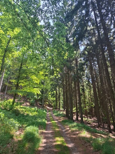 Kammweg Erzgebirge-Vogtland Etappe 4: Seiffen - Olbernhau