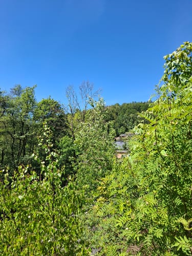 Kurort Seiffen / Erzgebirge Rundweg