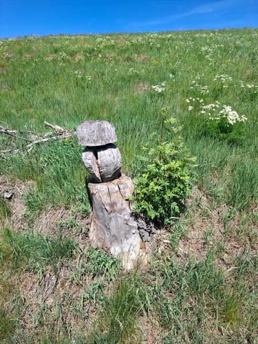 Kurort Seiffen / Erzgebirge Rundweg