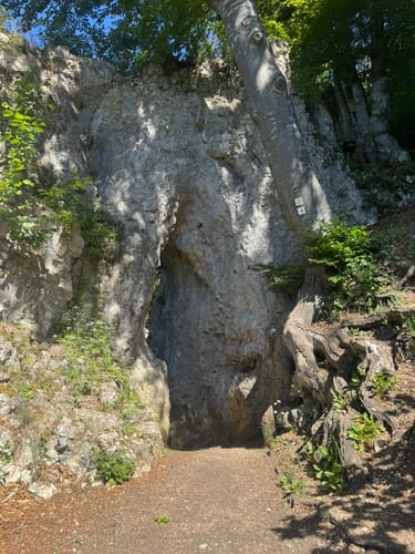 Eiszeitpfad - Blaubeurer Felsenstieg