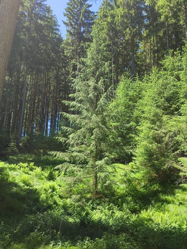 Diedorfer Hochweg und Anhauser Tal