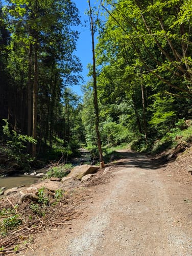 Perlbachtal von Mitterfels