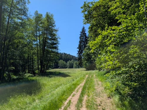 Perlbachtal von Mitterfels