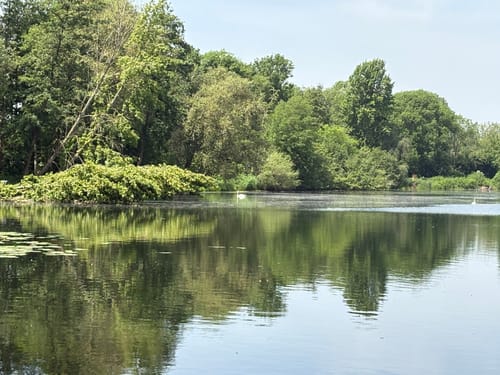 Um Nettebruch und Breyeller See