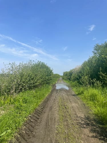 Rundweg Breites Wasser (Hammeniederung 4)