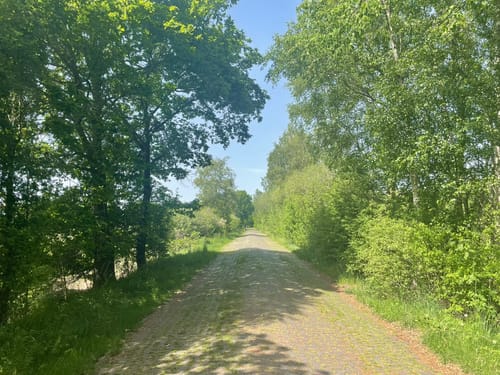 Rundweg Breites Wasser (Hammeniederung 4)