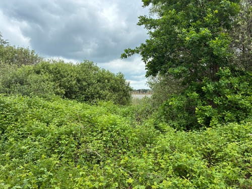 Grenzwege Schlagsdorf