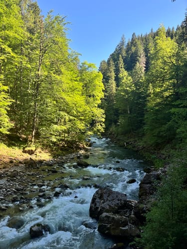 Breitachklamm [CLOSED]