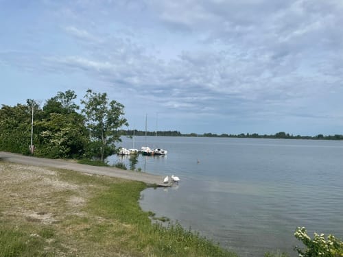 Mandichosee Rundweg