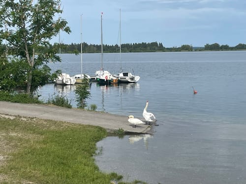 Mandichosee Rundweg