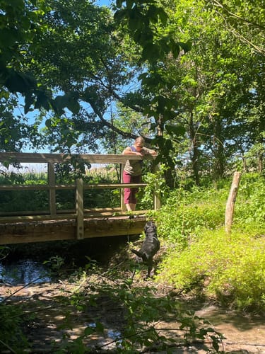 Rundwanderweg Riebener See