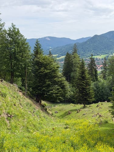 Brauneck Großer Höhenweg