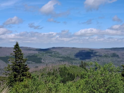 Braunlage zum Großen Winterberg