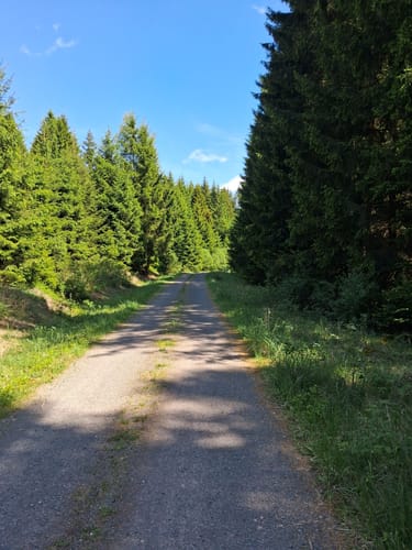 Braunlage zum Großen Winterberg