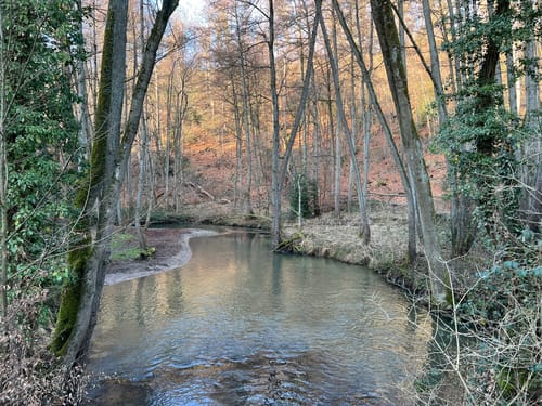 Neandertal Rundweg A5