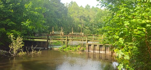 Wohldorferwald Rundweg