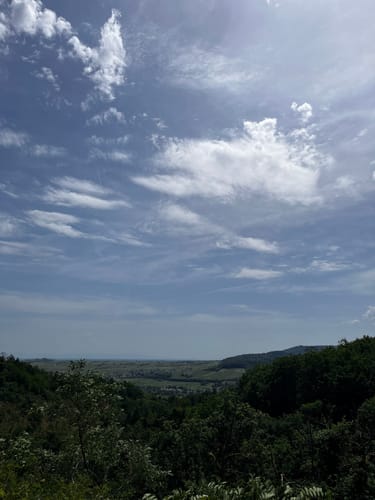 Durch das Hainbachtal zur Ruine Neuscharfeneck