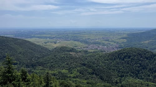 Durch das Hainbachtal zur Ruine Neuscharfeneck