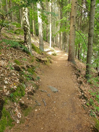 Eixendorfer Seeweg