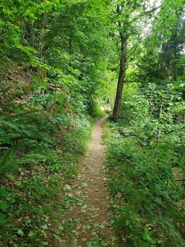 Eixendorfer Seeweg