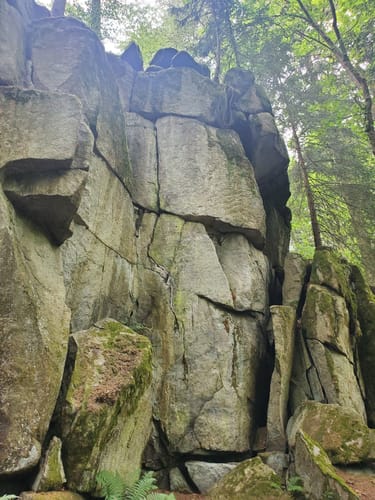 Eixendorfer Seeweg