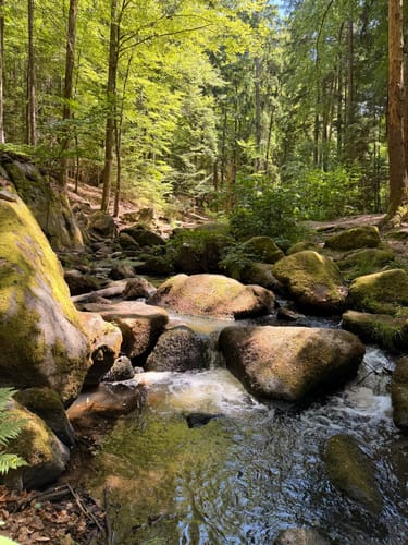 Rundweg durch die Hölle
