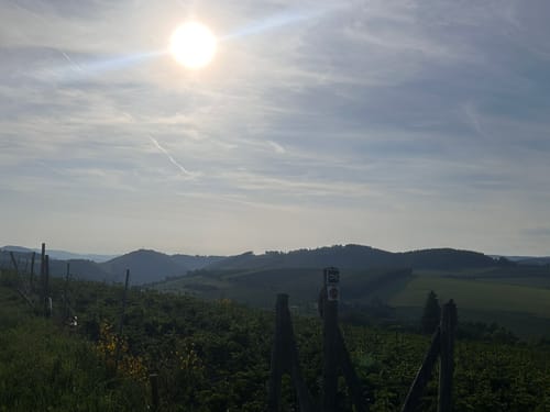 Kahler-Asten-Steig (Premiumwanderweg)