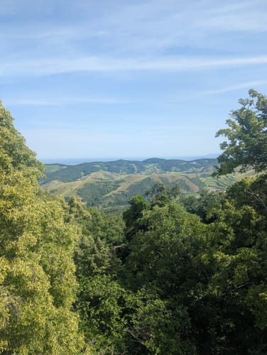 Neunlindenturm - Lilienhof Rundwanderung