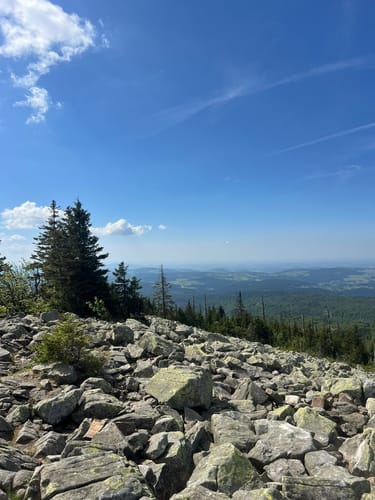 Waldhäuserriegel - Lusen