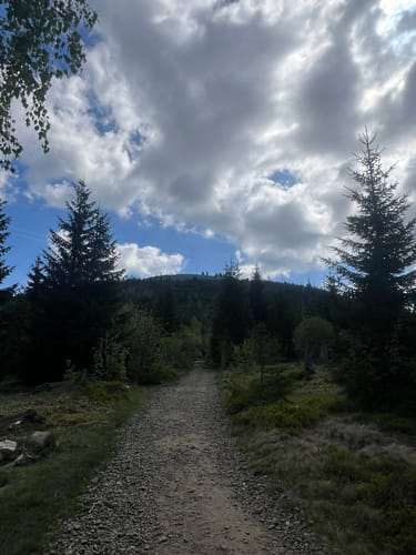 Waldhäuserriegel - Lusen