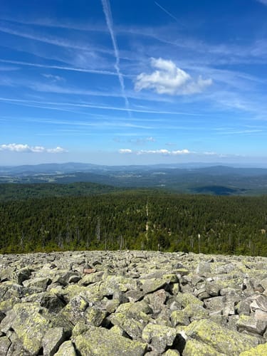 Waldhäuserriegel - Lusen