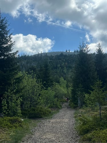 Waldhäuserriegel - Lusen