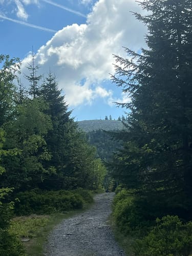 Waldhäuserriegel - Lusen