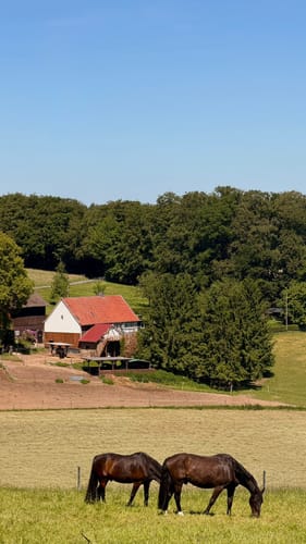 Elfringhauser Schweiz