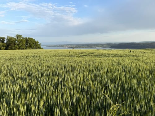 Von Hödingen nach Überlingen