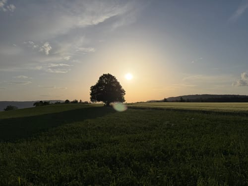 Von Hödingen nach Überlingen