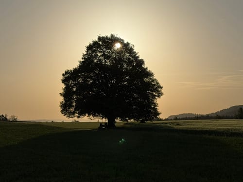 Von Hödingen nach Überlingen