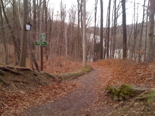 Ullrichsberg - Große Striegis - Wegefarth